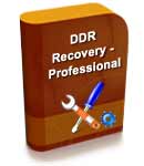 DDR Professional - Data Recovery Software